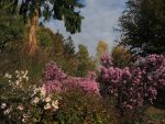 Bilder Oktober 2020