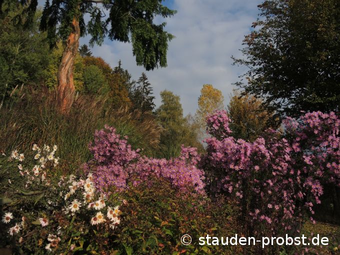 18. Oktober