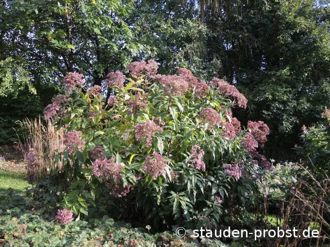 18. Oktober