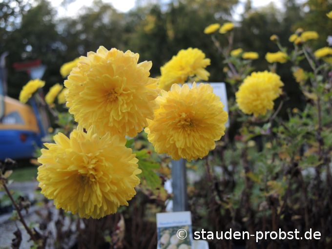18. Oktober