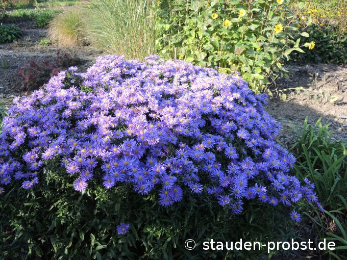 2. Oktober