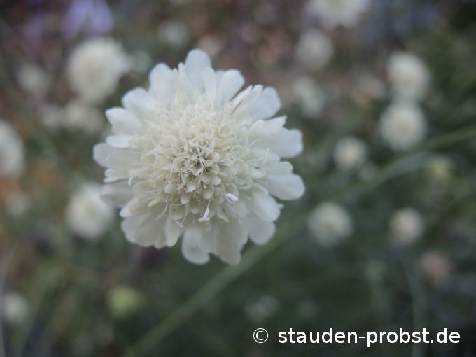 2. Oktober