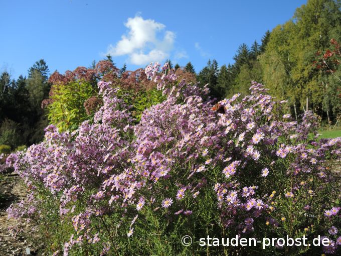 16. Oktober