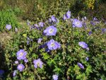 Bilder Oktober 2021