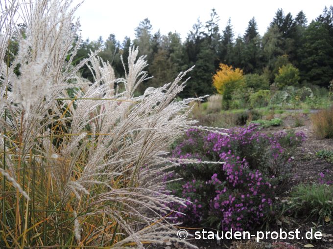 3. Oktober