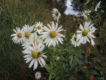 DSCN0145