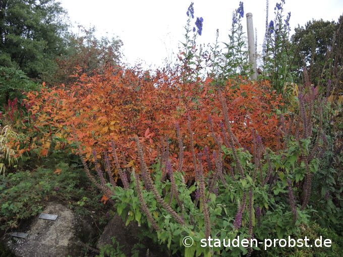 3. Oktober