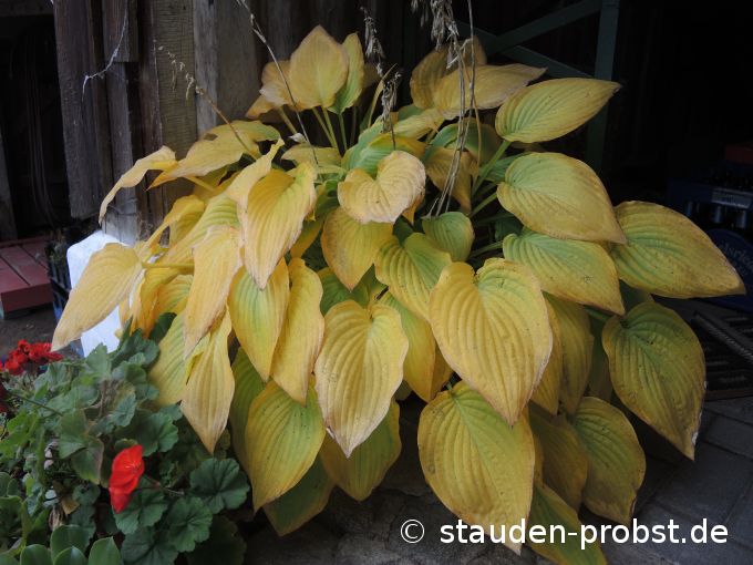 3. Oktober