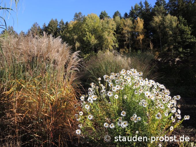 17. Oktober