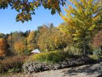 Bilder Oktober 2022