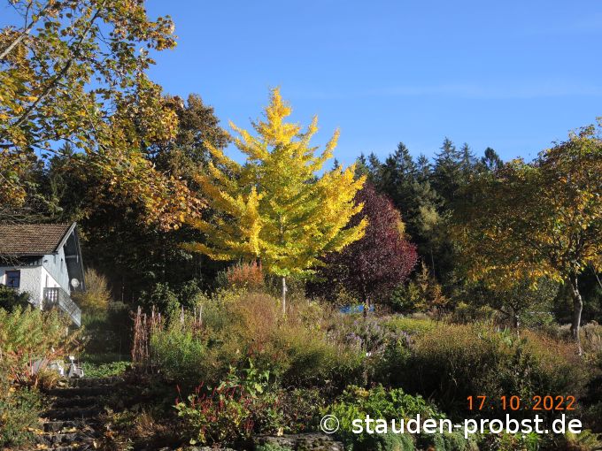 17. Oktober