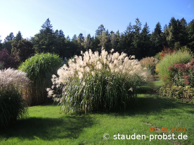 1. Oktober