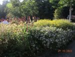 DSCN2943