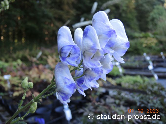 1. Oktober