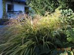 DSCN3028