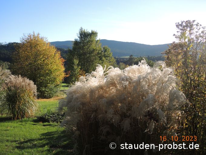 16. Oktober