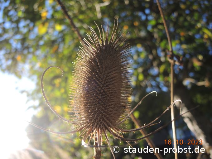 16. Oktober