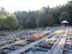 Bilder Oktober 2023