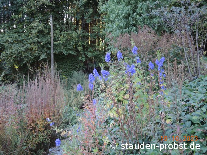 16. Oktober