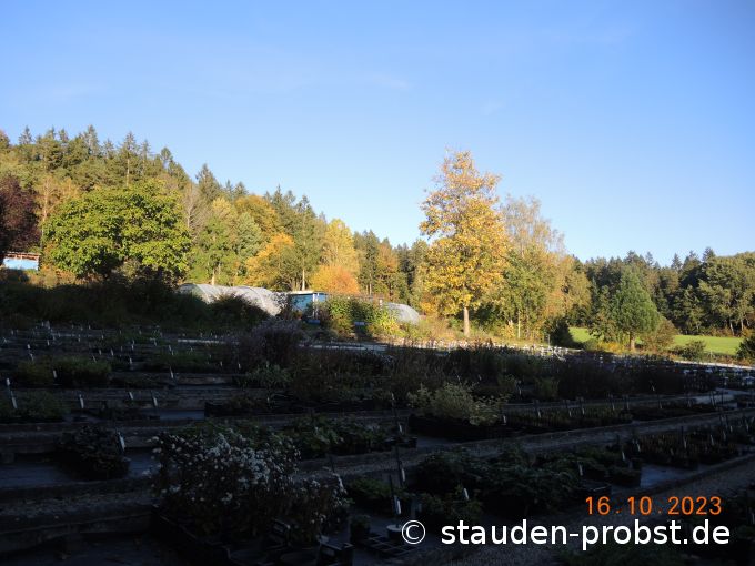 16. Oktober