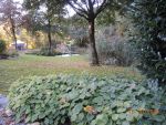 DSCN3117