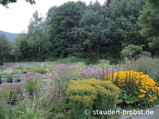 2. September
