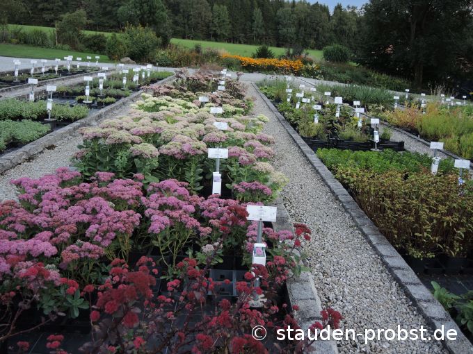 2. September