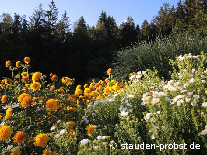 2. September