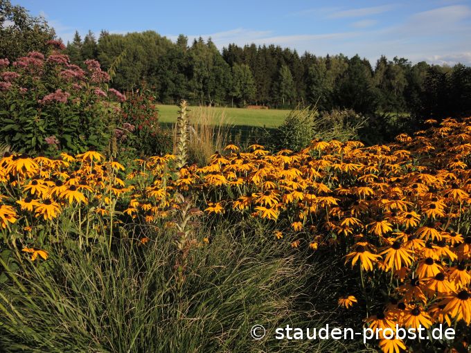 2. September