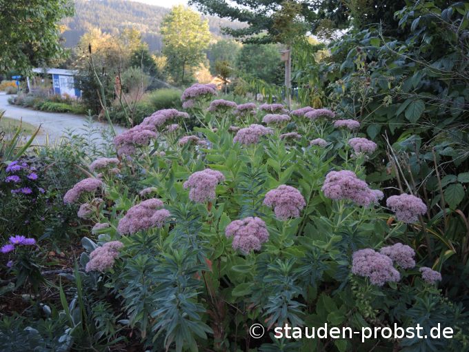 15. September