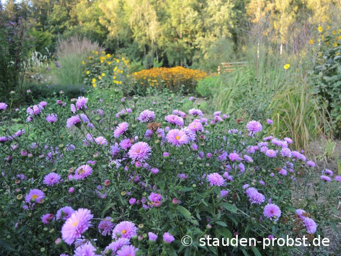 15. September