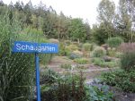 Bilder September 2021