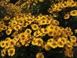 DSCN2571