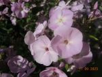 DSCN2728