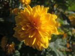 DSCN2731