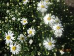 DSCN2744