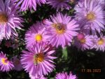 DSCN2758