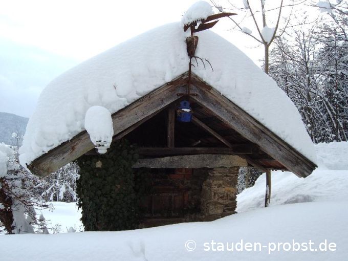 Backofen im Winter