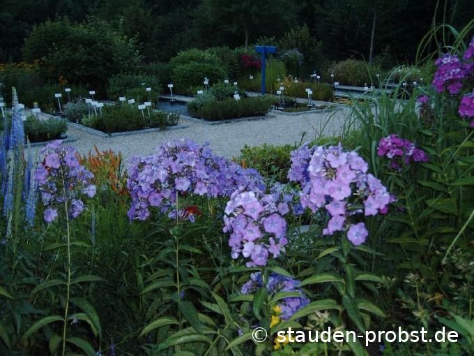 Blaue Stunde