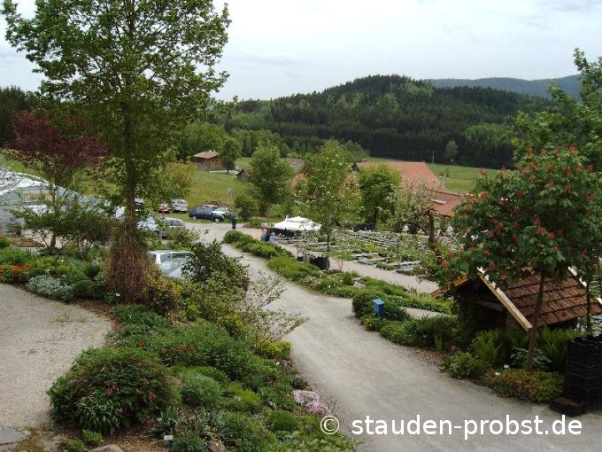 Blick vom Haus