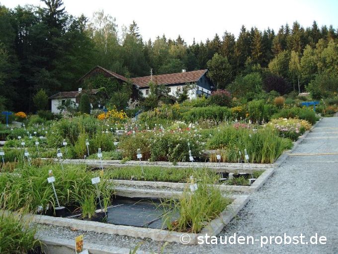 Topfquartier im Spätsommer