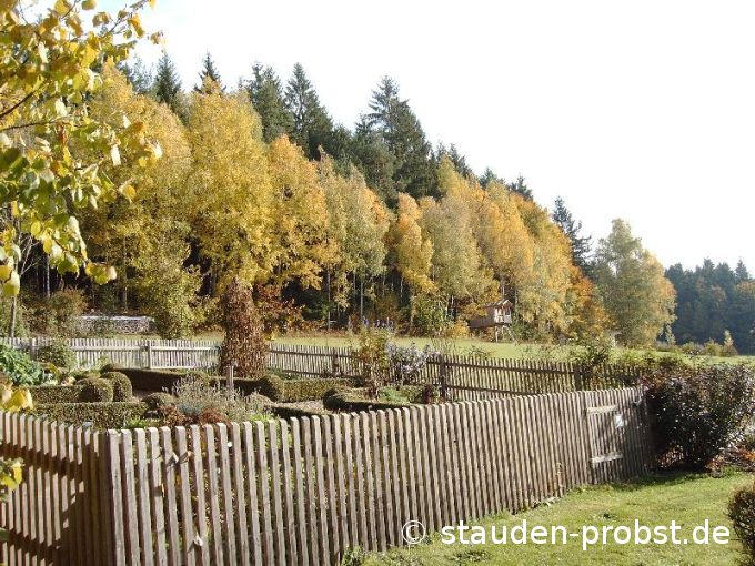 Bauerngarten im Herbst