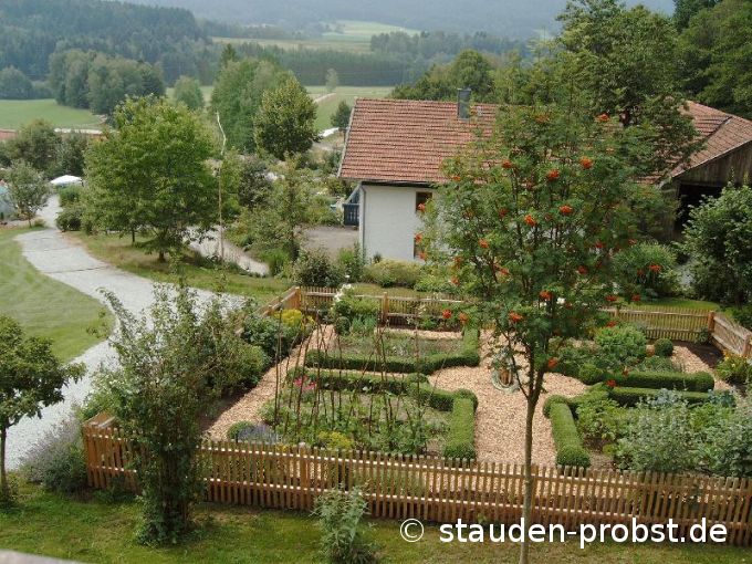 Bauerngarten mit Haus