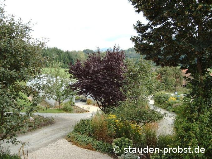 Blick vom Balkon