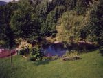 fischteich