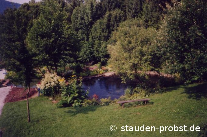 Fischteich