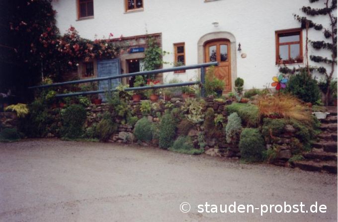 Trockenmauer vorm Haus