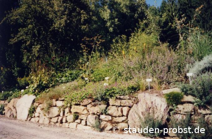 Trockenmauer
