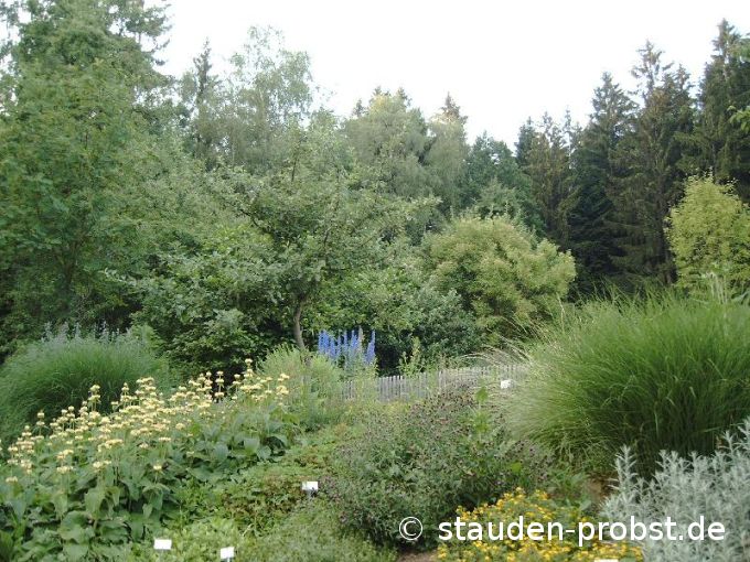 vorm Bauerngarten