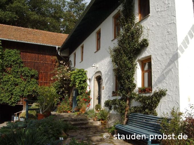 vorm Haus